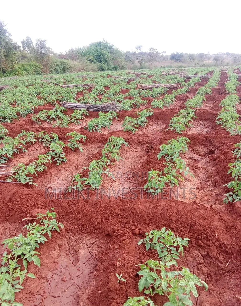 200 Acres on Sale at Macakos-Masinga