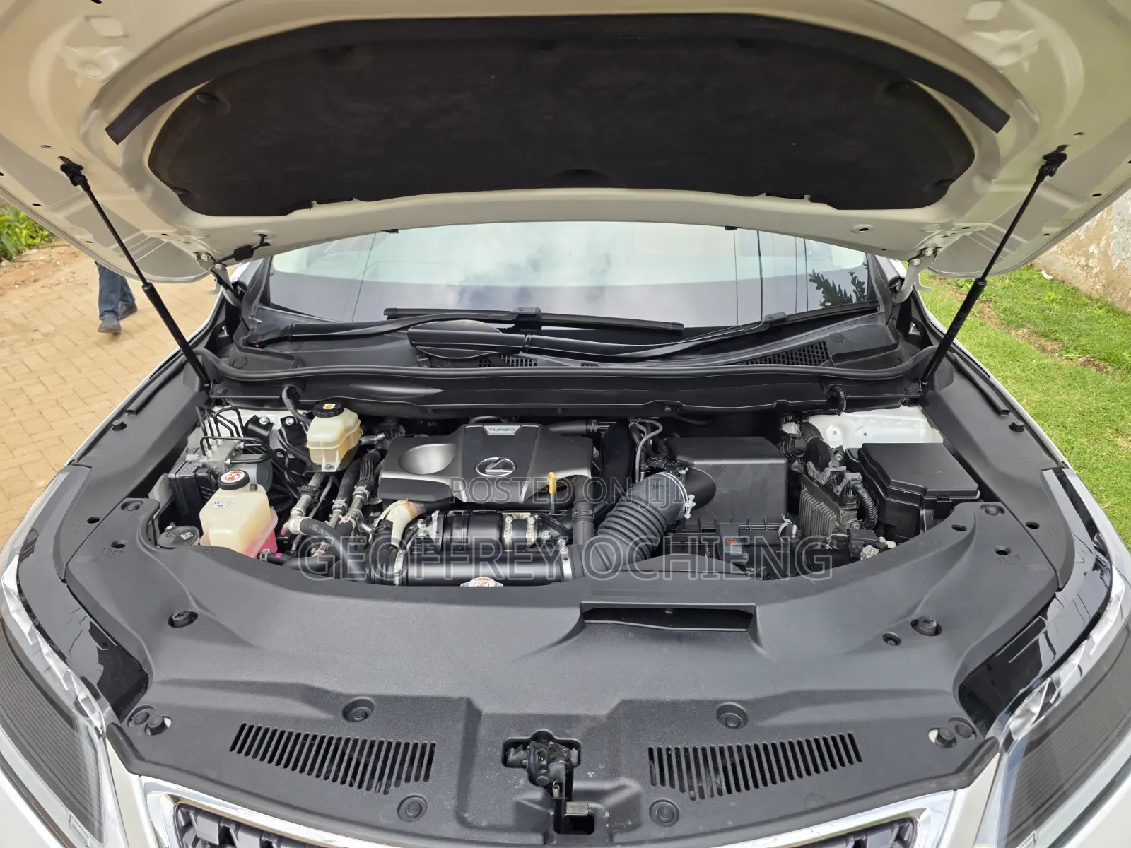 Lexus RX 2020 White