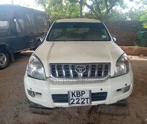 Toyota Land Cruiser 2004 White