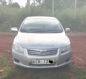 Toyota Axio 2010 Silver