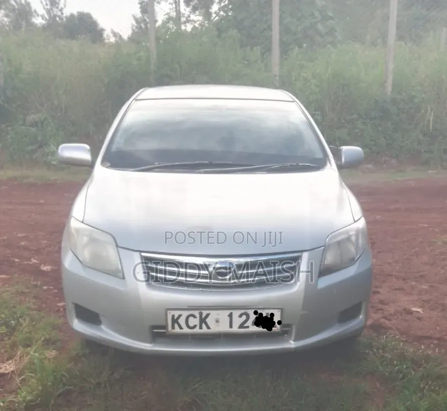 Toyota Axio 2010 Silver