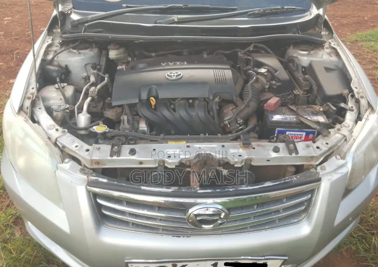 Toyota Axio 2010 Silver