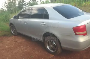 Toyota Axio 2010 Silver