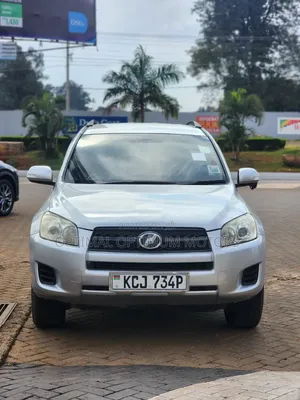 Toyota RAV4 2010 Silver