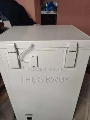 Ailyons 100l Freezer