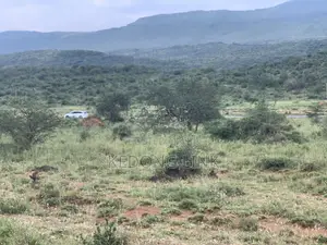 5 Acres Thigio / Ndiuni 5 Acres Touching Tarmac