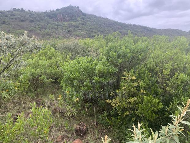 8 Acres Mikuyuni - Ndasha 300 Meters From Rd