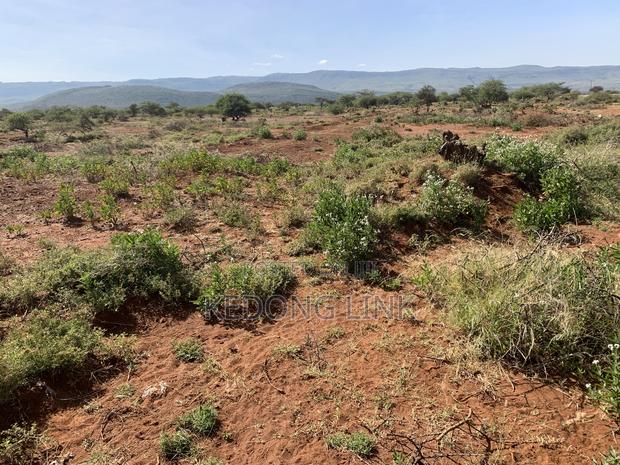 1/2 Acre Ewuaso Kedong Touching Tarmac - thumbnail 4