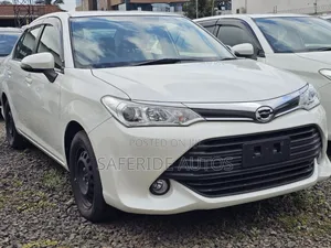 Toyota Axio 2019 Burgundy