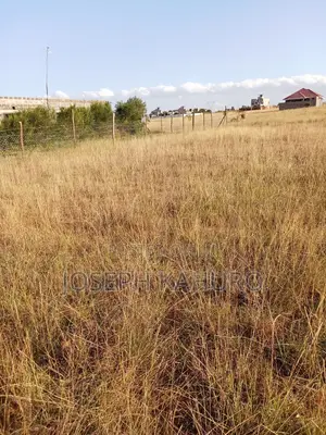 40x80 Plot for Sale at Malaa - Ready Title Deed
