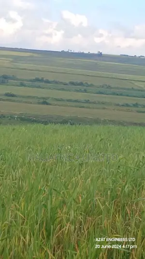130 Acres in Maunarok