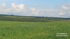 130 Acres in Maunarok