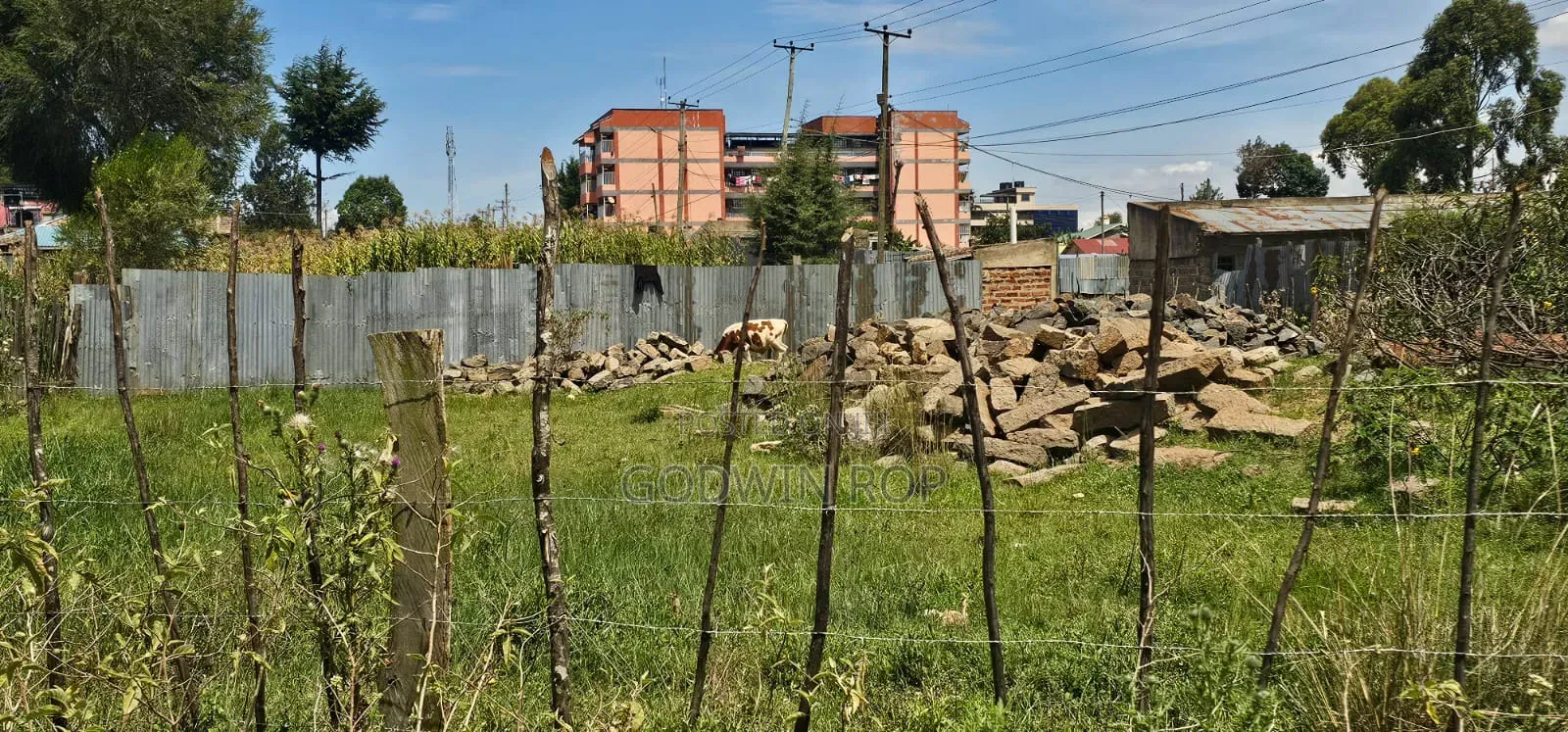 50 by 100 Commercial Plot for Sale in Kipkorgot Eldoret