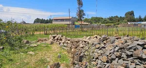 50 by 100 Commercial Plot for Sale in Kipkorgot Eldoret