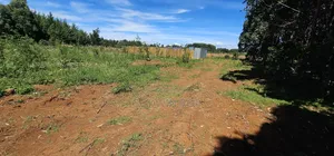 Prime Plots for Sale in Annex Bethel Eldoret