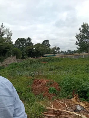 1/2 Acre Plot Kiambu Road Njathaini
