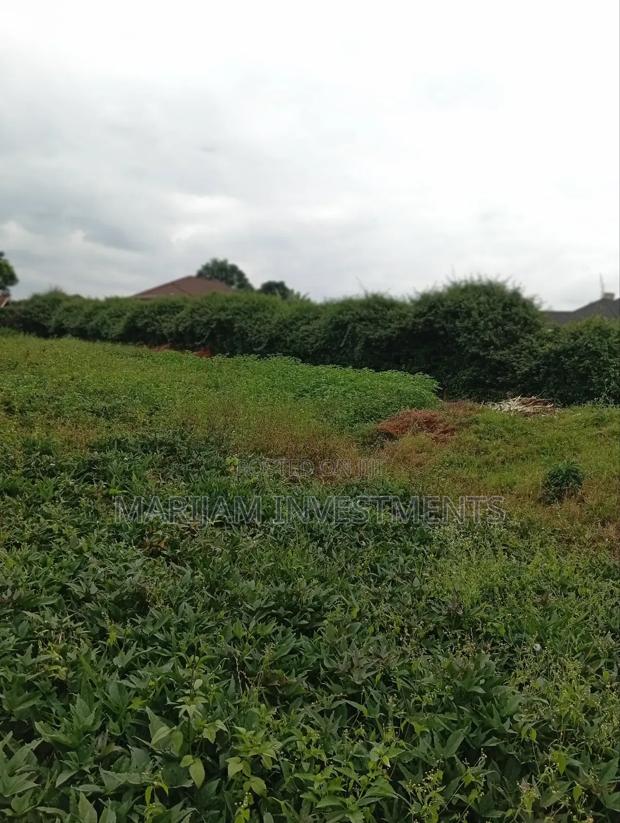 1/2 Acre Plot Kiambu Road Njathaini