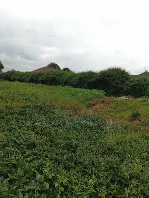 1/2 Acre Plot Kiambu Road Njathaini