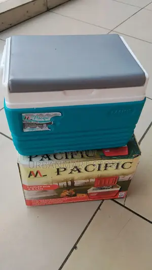 Personal Cooler Box 4.5 Litres for Fresh Storage