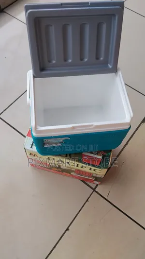 4.5 Litres Ice Cooler Box for Camping, Travel Outdoor Use