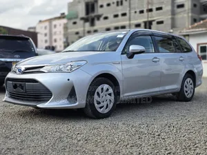 Toyota Corolla Fielder 2019