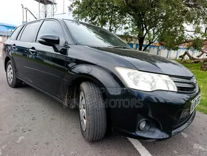 Toyota Corolla Fielder 2013 Black