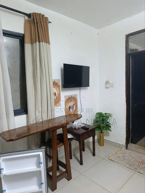 Furnished 1bdrm Bedsitter in Solian 12, Vipingo for rent - thumbnail 5