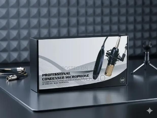 Bm-800 Professional Condenser Microphone Kit Package