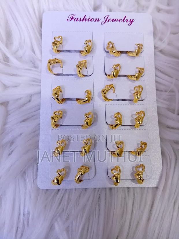 Earings ,Brooches and Rings - thumbnail 12