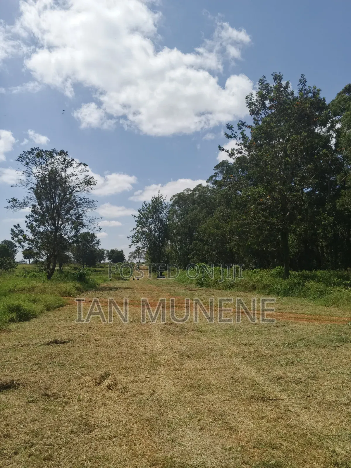 Commercial and Residential Plot for Sale