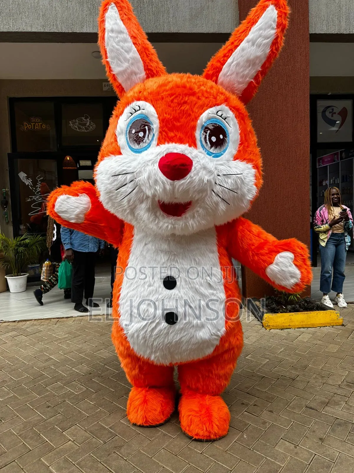 Mascot For Sale And Hire