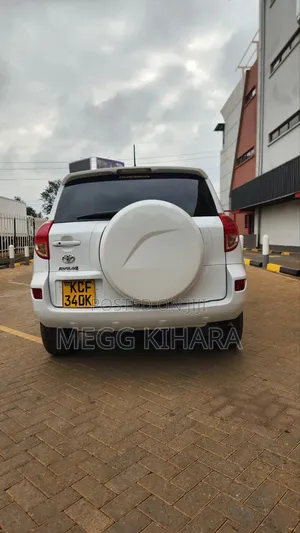 Toyota RAV4 2010 Silver