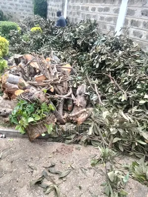 Tree Service