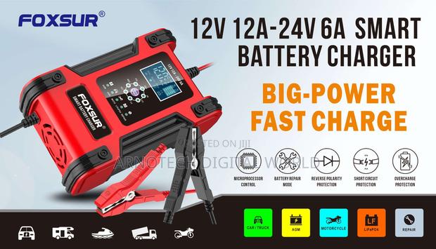 12v/24v Auto-Voltage Battery Charger