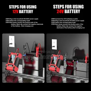 12v/24v Auto-Voltage Battery Charger