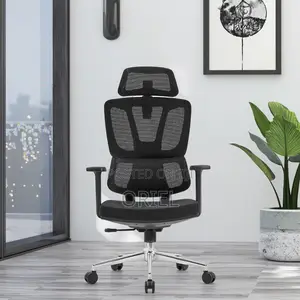 Office Chair Modern Orthopedic Swivel