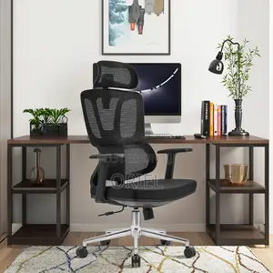 Office Chair Modern Orthopedic Swivel