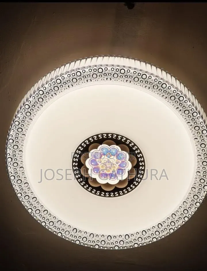 Ceiling Light