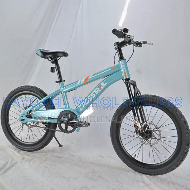 Crosstrail Size 20 Mountain Bicycle – New Condition