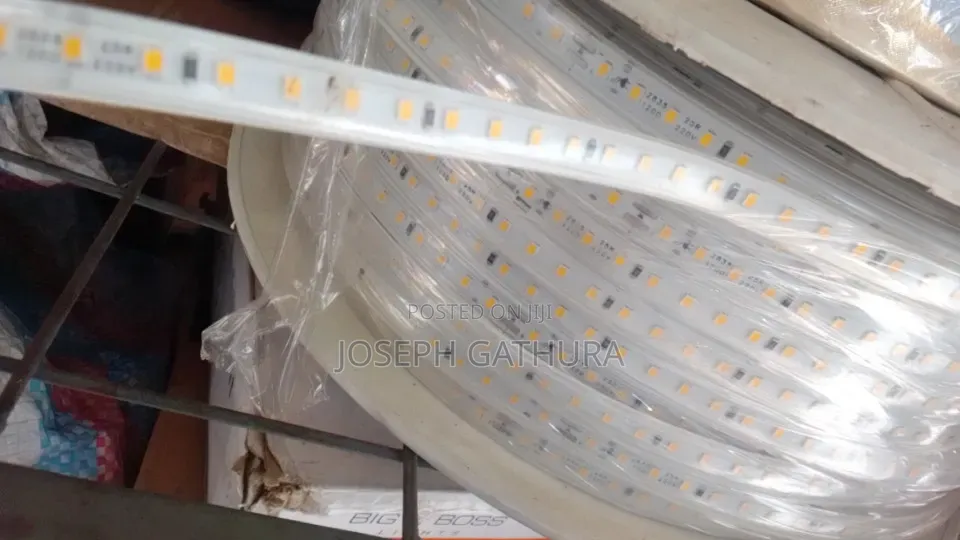 Snake Light Single Eye