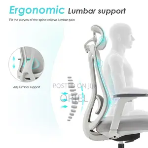 Office Chair : Ergonomic Mesh Chair