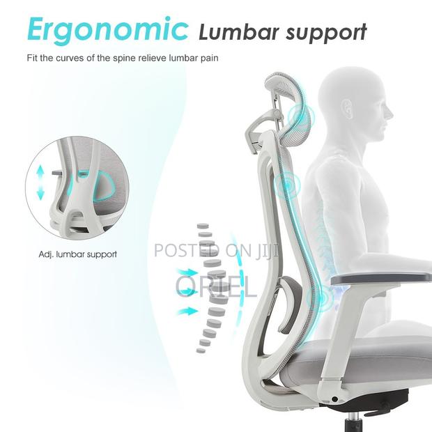 Office Chair : Ergonomic Mesh Chair - thumbnail 3