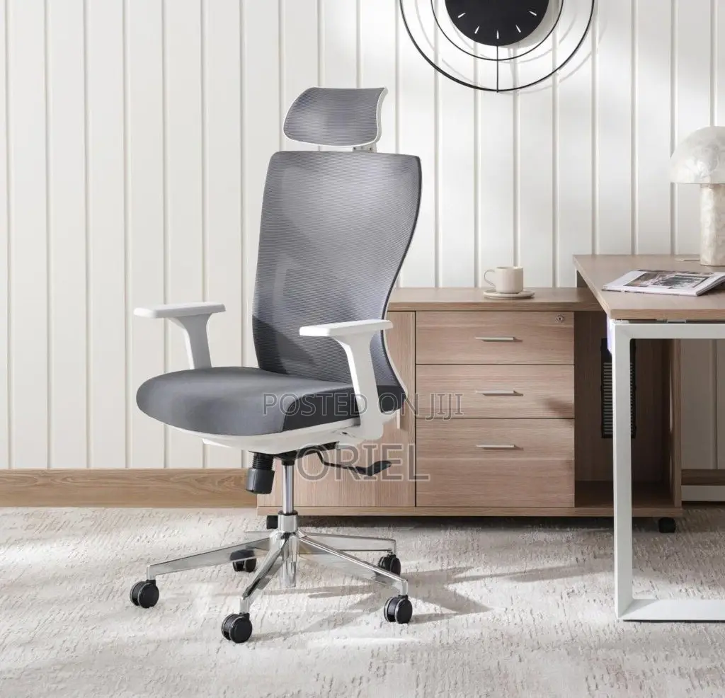 Office Chair : Ergonomic Mesh Chair