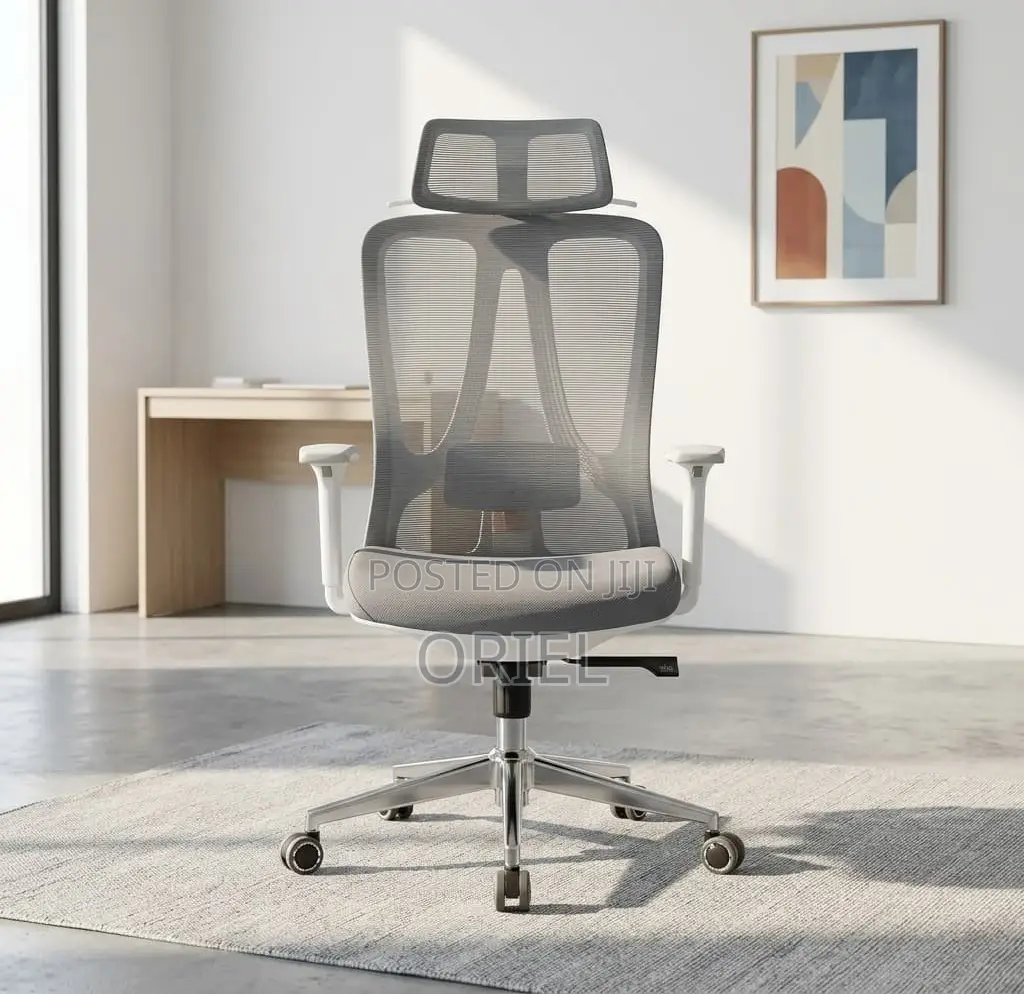 Office Chair : Ergonomic Mesh Chair