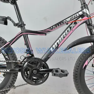 20 Inch Unirox Bicycle for Young Riders