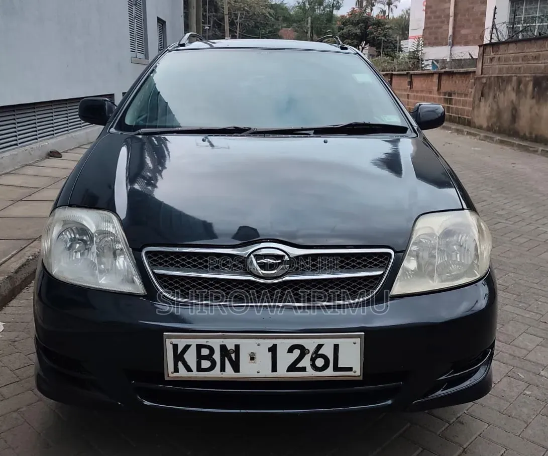 Toyota Corolla Fielder 2004 Matt Black