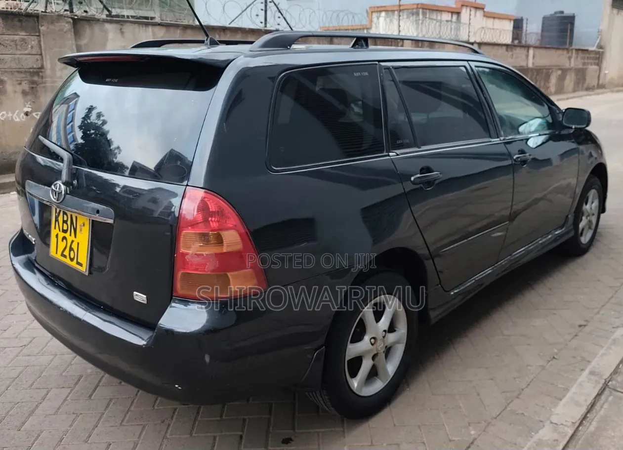 Toyota Corolla Fielder 2004 Matt Black