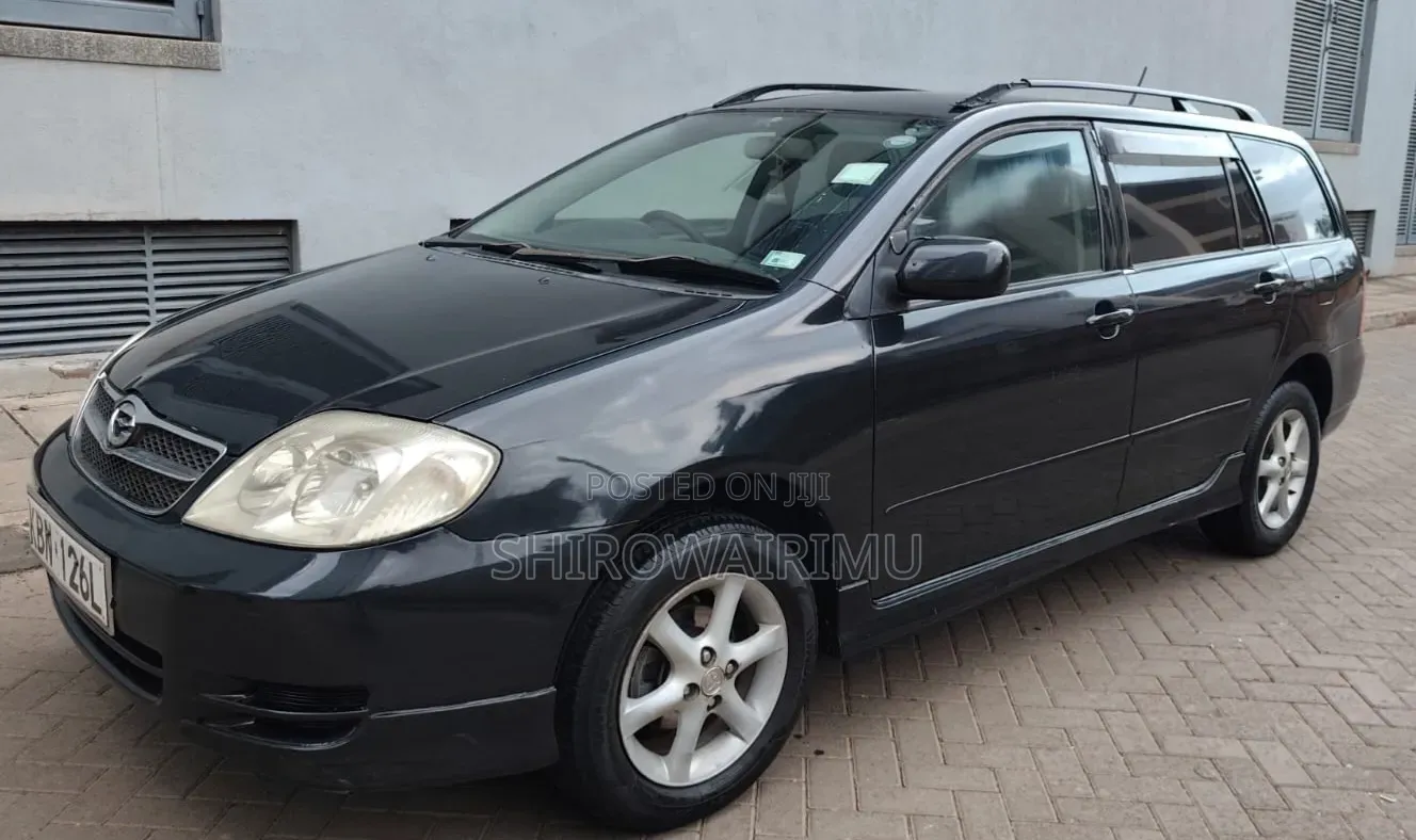 Toyota Corolla Fielder 2004 Matt Black