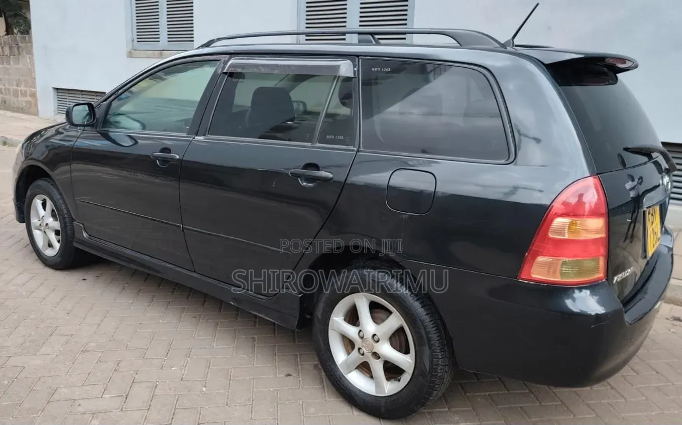 Toyota Corolla Fielder 2004 Matt Black