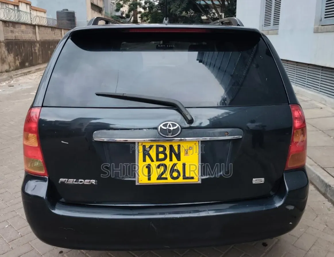 Toyota Corolla Fielder 2004 Matt Black